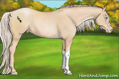 Horse Color:Palomino Pearl 