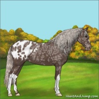 Horse Color:Silver Black Ice Blanket 