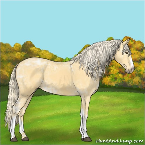 Horse Color:Palomino Ice 