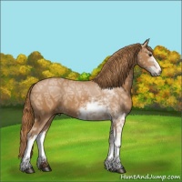 Horse Color:Chestnut Ice Sabino