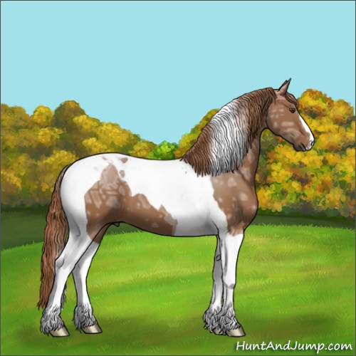 Horse Color:Chestnut Ice Tobiano