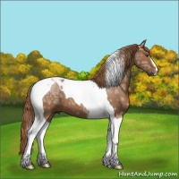 Horse Color:Chestnut Ice Tobiano 