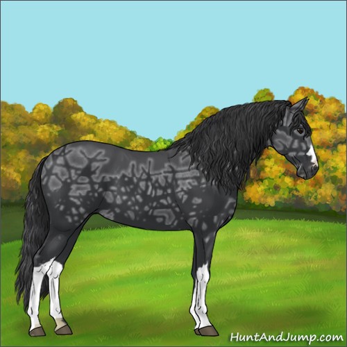 Horse Color:Black Ice 