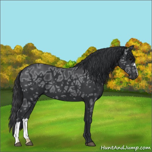 Horse Color:Black Ice 