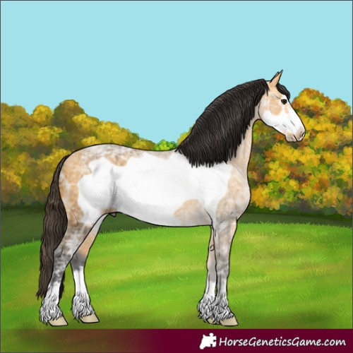 Horse Color:Buckskin Ice Frame