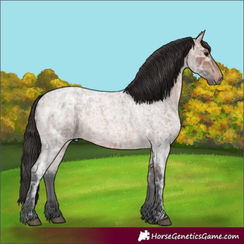 Horse Color:Brown Ice Roan 