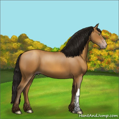 Horse Color:Gray Amber Champagne 
