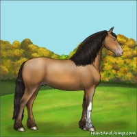 Horse Color:Gray Amber Champagne