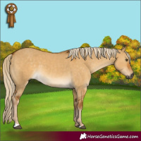 Horse Color:Gray Palomino Dun 