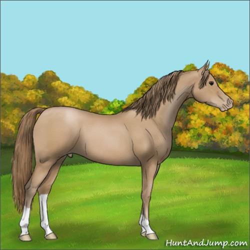 Horse Color:Black Pearl 