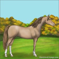 Horse Color:Black Pearl 