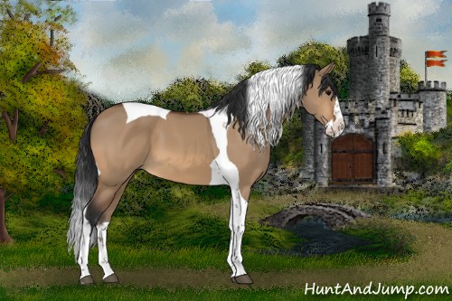 Horse Color:Bay Dun Splash Tobiano 
