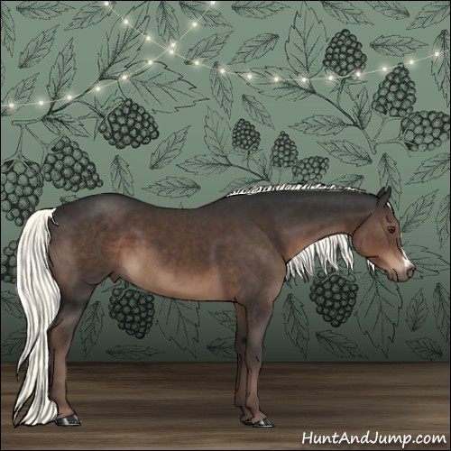 Horse Color:Liver Chestnut Mushroom