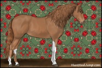 Horse Color:Chestnut Tobiano 