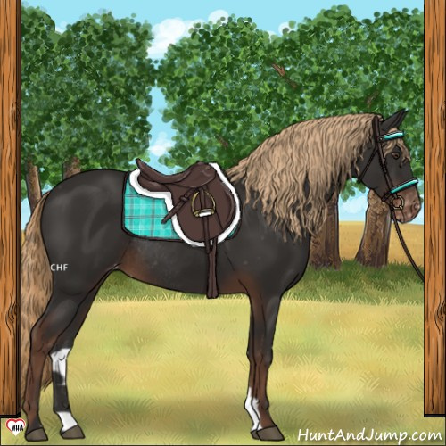 Horse Color:Liver Chestnut Varnish Rabicano