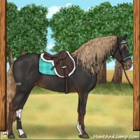 Horse Color:Liver Chestnut Varnish Rabicano 