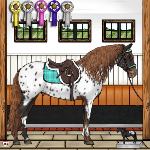 Horse Color:Liver Chestnut Appaloosa Rabicano 