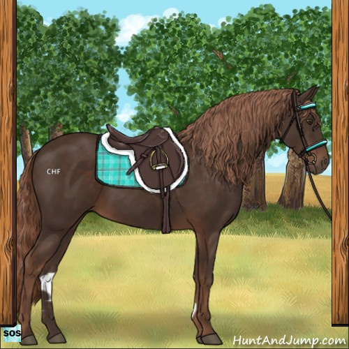 Horse Color:Liver Chestnut Rabicano 