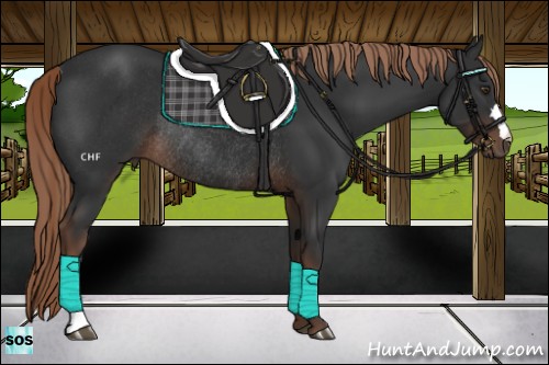 Horse Color:Liver Chestnut Rabicano 