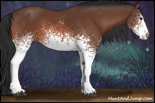 Horse Color:White Spotted Brown Sabino 