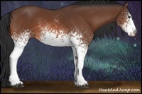 Horse Color:White Spotted Brown Sabino