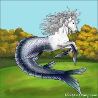 Horse Color:Gray Chestnut 