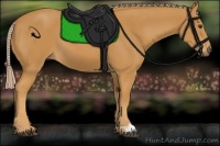 Horse Color:Palomino 