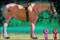 Horse Color:Chocolate Palomino Sabino Tobiano