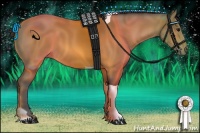 Horse Color:Buckskin Tobiano