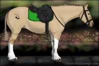 Horse Color:Chocolate Palomino Dun Tobiano 