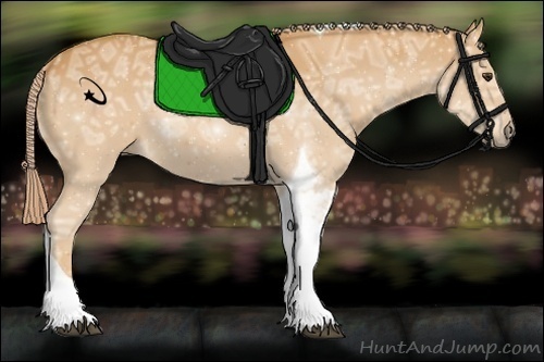 Horse Color:Palomino Ice Tobiano 