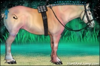 Horse Color:Palomino Onyx Sabino 