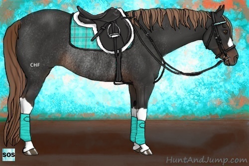 Horse Color:Liver Chestnut Rabicano 