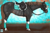 Horse Color:Liver Chestnut Rabicano 