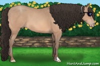 Horse Color:Amber Champagne 