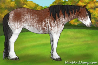 Horse Color:Gray White Spotted Bay Splash  and Gray White Spotted Bay Splash 