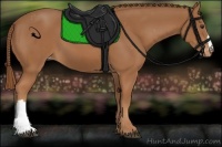 Horse Color:Chestnut Appaloosa