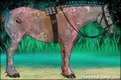 Horse Color:Liver Chestnut Ice 