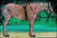 Horse Color:Liver Chestnut Ice 