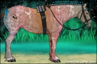 Horse Color:Chestnut Ice 