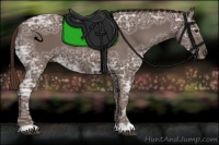 Horse Color:Liver Chestnut Ice 