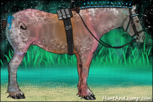 Horse Color:Liver Chestnut Ice 