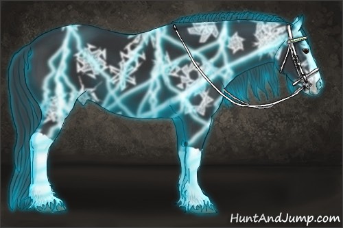 Horse Color:Thunderstruck Black Ice 