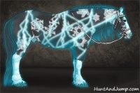 Horse Color:Thunderstruck Black Ice 