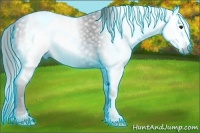 Horse Color:Gray Thunderstruck Black