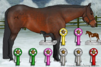 Horse Color:Brown Sabino Rabicano 