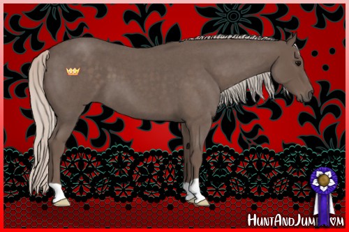 Horse Color:Silver Blue Roan 