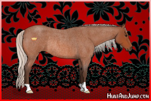 Horse Color:Silver Bay Roan Rabicano