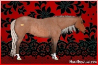 Horse Color:Silver Bay Roan Rabicano 