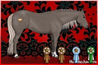 Horse Color:Silver Black Sabino